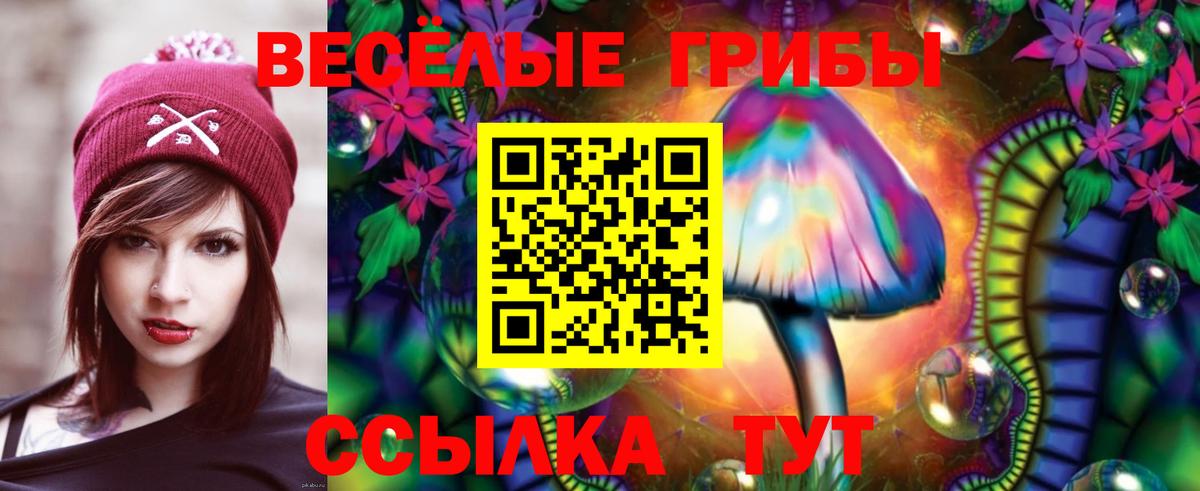 Приморско-Ахтарск  Псилоцибиновые грибы GOLDEN TEACHER  продажа наркотиков  Вход с VPN 