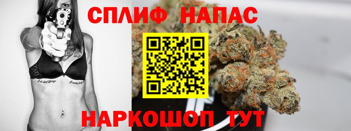 Каннабис OG Kush Приморско-Ахтарск